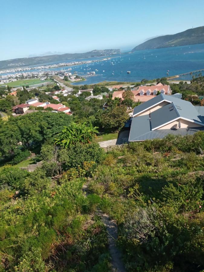 Knysna Paradise Guesthouse Екстер'єр фото